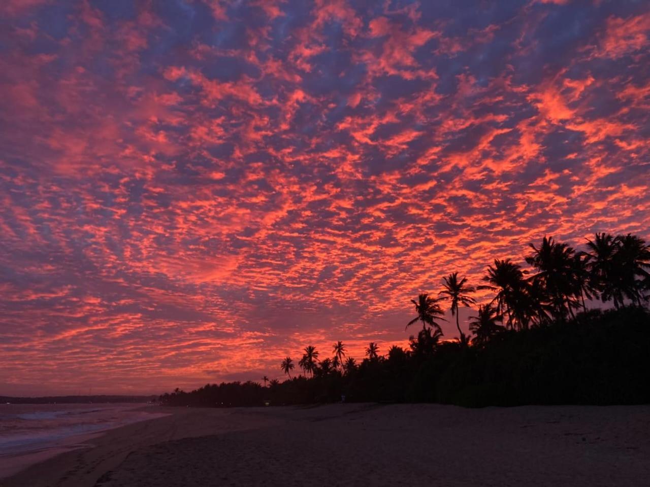 Southern Edge Cabanas Tangalle Exterior photo